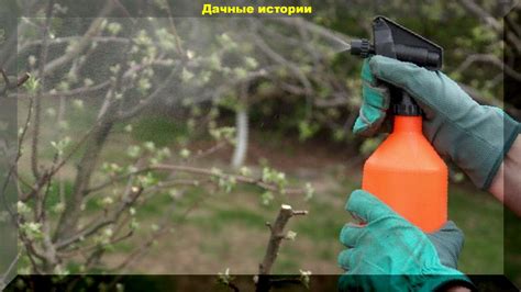 Воздействие вредителей и болезней