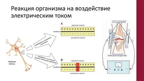 Воздействие заболевания на функционирование организма