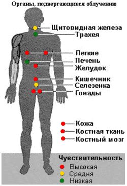 Воздействие каши на организм человека