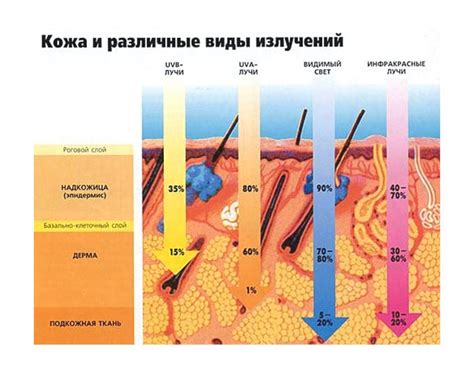 Воздействие коррозии на кожу