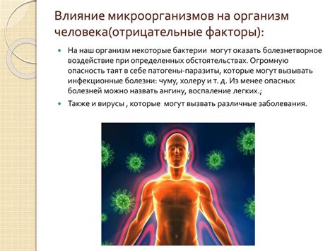 Воздействие микроорганизмов на органы дыхания: их роль и влияние