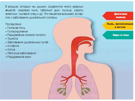 Воздействие частых донорств на организм