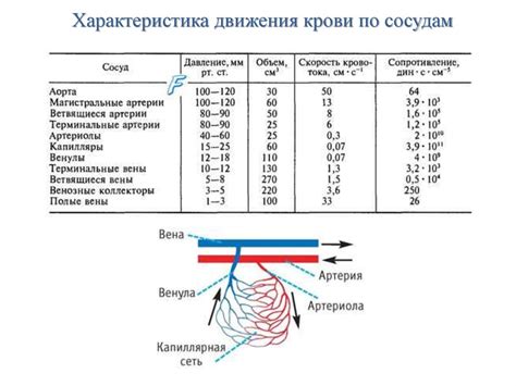 Возможности и ограничения метода определения скорости по тормозным показателям