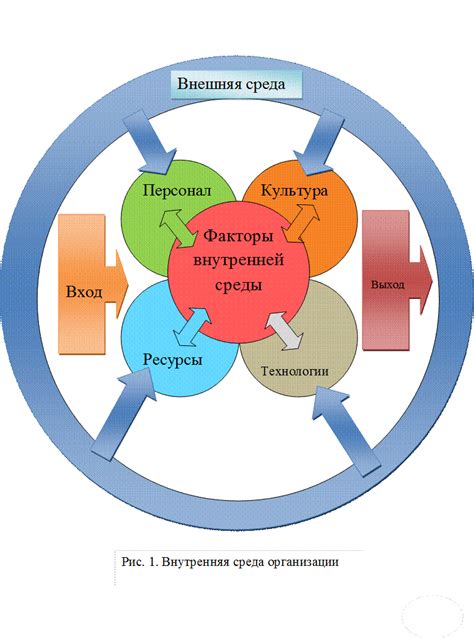Возможности организации
