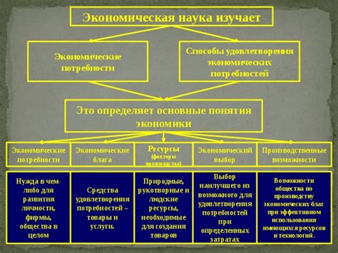 Возможности развития экономических навыков