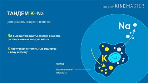Возможность взять с собой питательную жидкость для гидратации