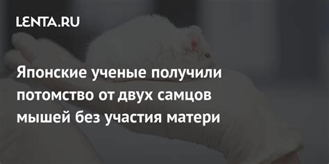 Возможность проведения теста без участия матери