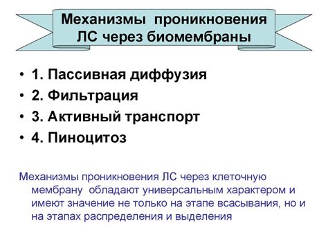 Возможные механизмы проникновения