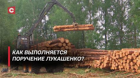 Возможные негативные последствия атмосферных явлений на древесину