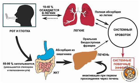 Возможные побочные эффекты при использовании Баклосана и их влияние на организм