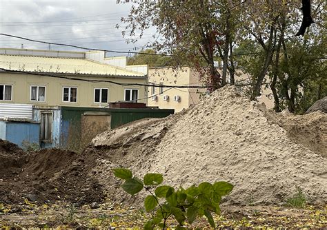 Возможные последствия избыточного собирания песка муравьями