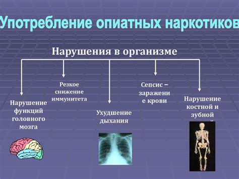Возможные причины икоты на фоне работы нервной системы