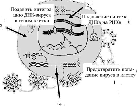 Возможные пути предотвращения кровопролития