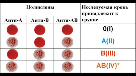 Возможные факторы, приводящие к неточностям при определении резус-фактора крови