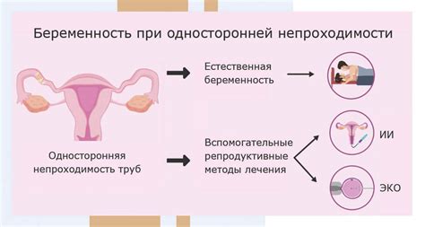 Возникновение непроходимости маточных труб