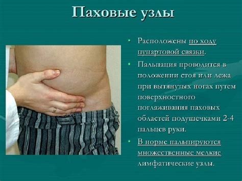Воспаление лимфоузлов в паху