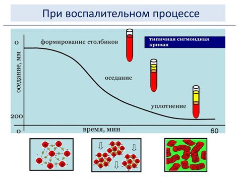 Воспалительный маркер: повышение скорости оседания эритроцитов