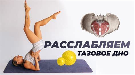Восстановление мышц тазового дна: знакомство с эффективностью упражнений