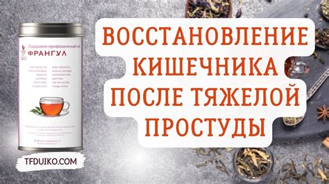 Восстановление организма после простуды: советы по уходу за ребенком