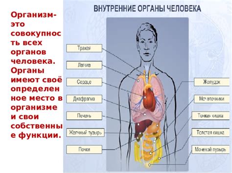 Восьмая причина: внутренние изменения в организме