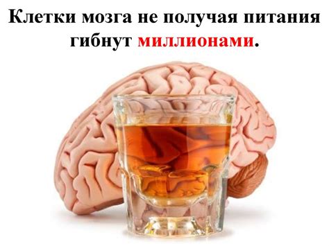 Вредные привычки: курение и употребление кофеина