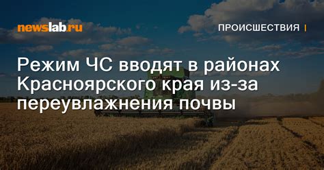 Вред переувлажнения почвы