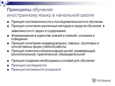 Вск в школе: какие принципы учитываются