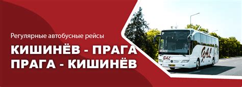 Выберите желаемый рейс