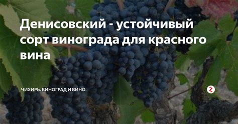Выбирайте устойчивый сорт