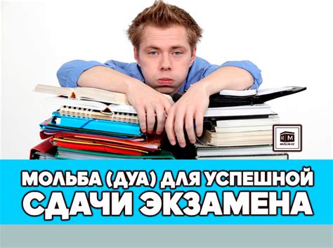 Выбор автошколы и поиск инструктора: советы для успешной сдачи экзамена на вождение