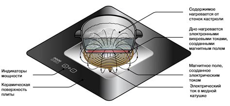 Выбор индукционной плиты без заземления: характеристики и особенности