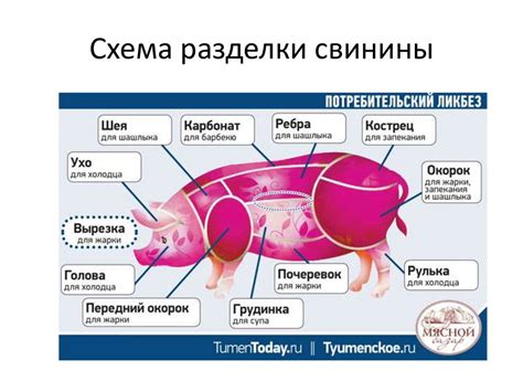 Выбор и обработка мяса
