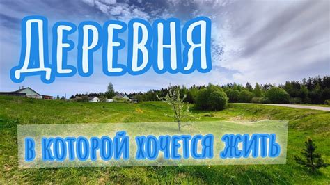 Выбор места для пересадки