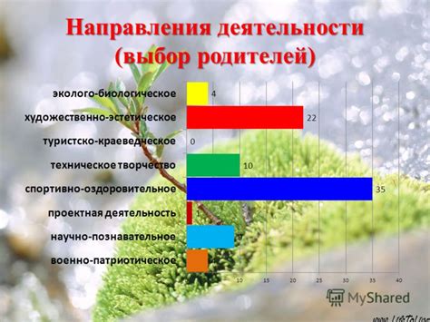 Выбор направления деятельности