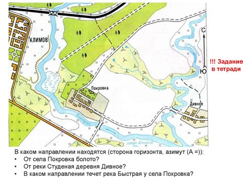 Выбор подходящего места для размещения отростка