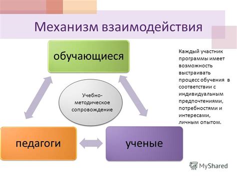 Выбор подходящего набора услуг в соответствии с потребностями и предпочтениями