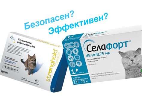 Выбор подходящих средств для избавления собаки от нежелательных паразитов