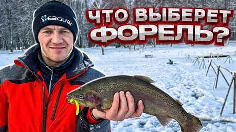 Выбор приманок