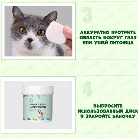 Выбор продуктов для ухода за шерстью и ушами кошек: подборка эффективных средств