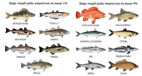Выбор рыбы с большими чешуйками