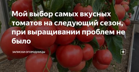 Выбор самых вкусных ингредиентов