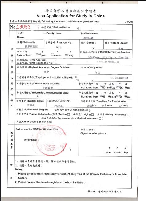 Выбор типа визы для поездки в Китай