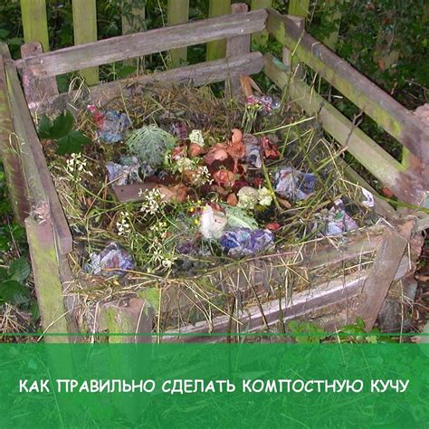 Выгоды опавших листьев для компостной кучи