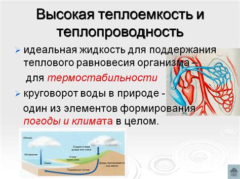 Высокая температура воды