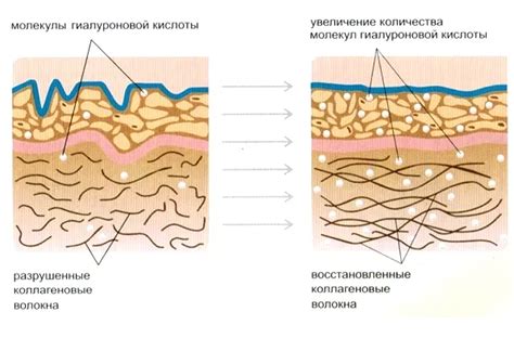 Высокая теплота и упругость