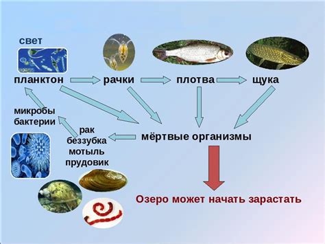 Выявление и анализ изменений в популяциях рыб и рыбных сообществ