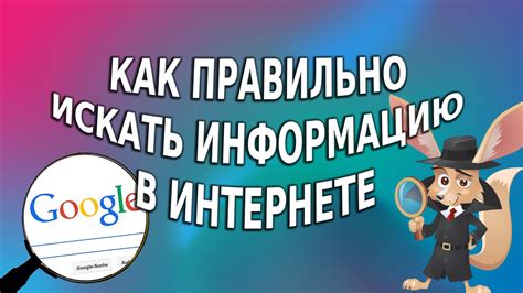 Где искать информацию о потерявшихся котятах