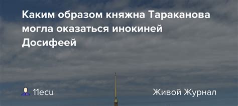Где могла оказаться иголка