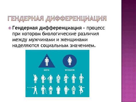 Гендерная дифференциация в социальной организации немецкого общества