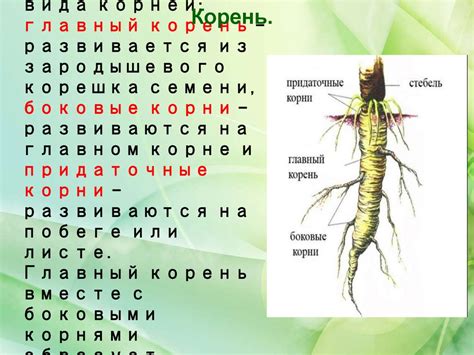 Генетические корни безумия